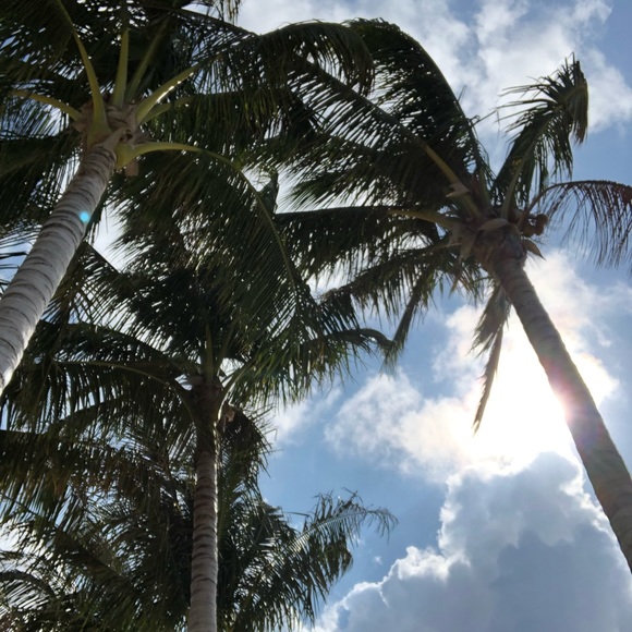 Meet your Posher, Corey - Picture 1 of 1